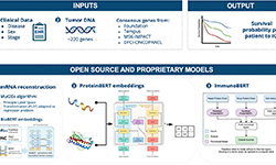 ZephyrAI SITC Poster ImmunoBERT ICI model